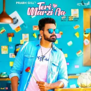 Teri Marzi Aa Song By Teri Marzi Aa Poster