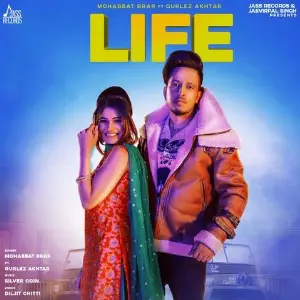 Life Song By Life Poster