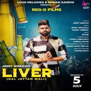 Liver Song By Liver Poster