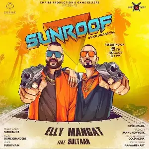 Sunroof Song By Sunroof Poster