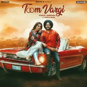 Toom Vargi Song By Toom Vargi Poster