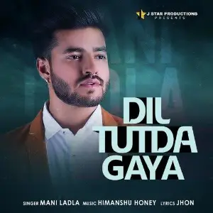 Dil Tutda Gaya Song By Dil Tutda Gaya Poster