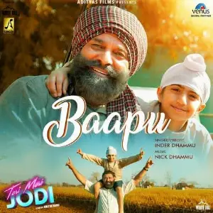 Baapu (Teri Meri Jodi) Song By Baapu (Teri Meri Jodi) Poster