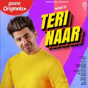 Teri Naar Song By Teri Naar Poster
