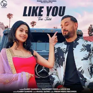 Like U (Tere Jaisi) Song By Like U (Tere Jaisi) Poster