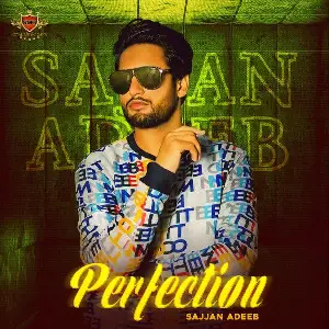 Perfection Song By Perfection Poster