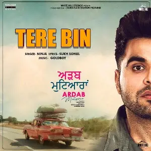 Tere Bin (Ardab Mutiyaran) Song By Tere Bin (Ardab Mutiyaran) Poster