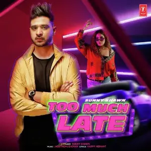 Too Much Late Song By Too Much Late Poster