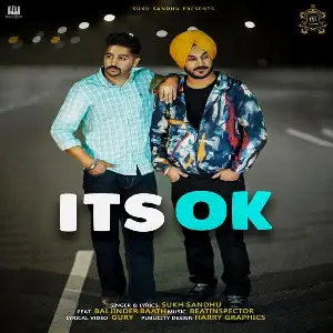 Its Ok Song By Its Ok Poster