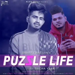 Puzzle Life Song By Puzzle Life Poster