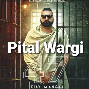 Pital Wargi Song By Pital Wargi Poster