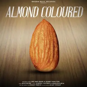 Almond Coloured Song By Almond Coloured Poster