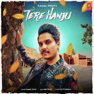 Tere Hanju Song By Tere Hanju Poster