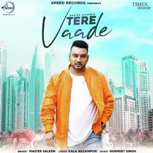 Tere Vaade Song By Tere Vaade Poster