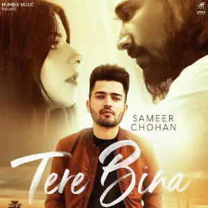 Tere Bina Song By Tere Bina Poster