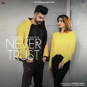 Never Trust Song By Never Trust Poster