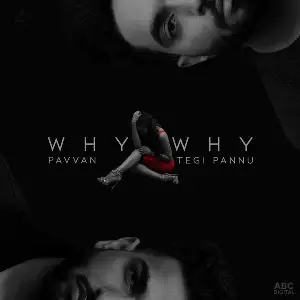 Why Why Song By Why Why Poster