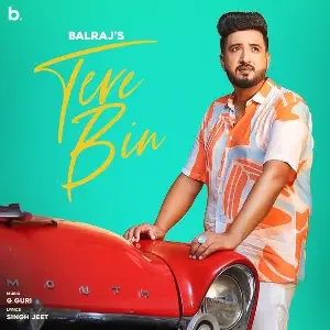 Tere Bin Song By Tere Bin Poster