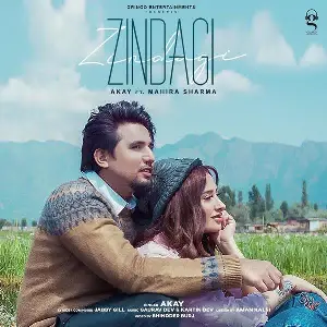 Zindagi Song By Zindagi Poster