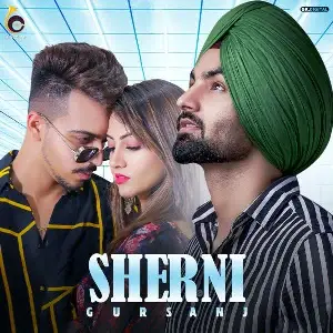 Sherni Song By Sherni Poster