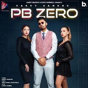 Pb Zero Song By Pb Zero Poster