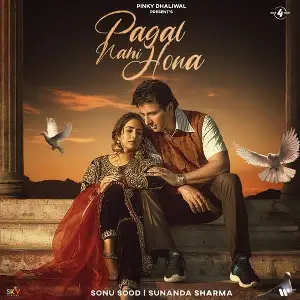 Pagal Nahi Hona Song By Pagal Nahi Hona Poster