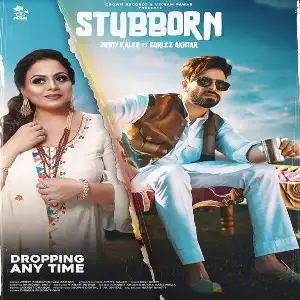 Stubborn Song By Stubborn Poster