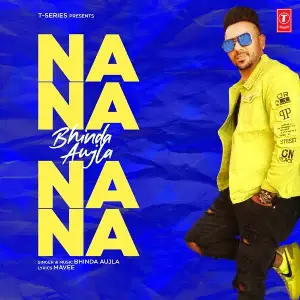 Na Na Na Na Song By Na Na Na Na Poster