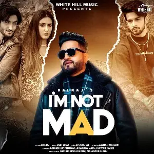 I M Not Mad Song By I M Not Mad Poster