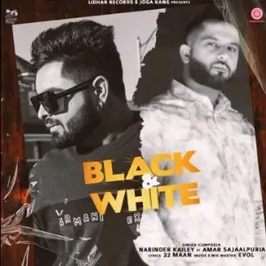 Black White Song By Black White Poster