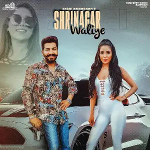 Srinagar Waliye Song By Srinagar Waliye Poster
