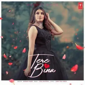 Tere Bina Song By Tere Bina Poster