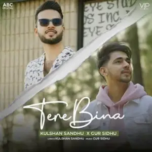 Tere Bina Song By Tere Bina Poster