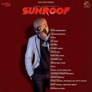 Sunroof Song By Sunroof Poster