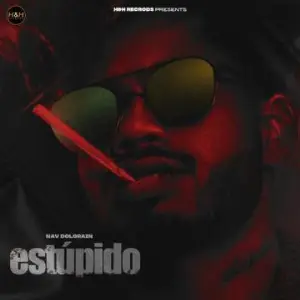 Estupido Song By Estupido Poster