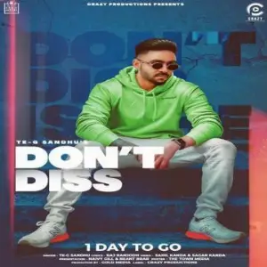 Dont Diss Song By Dont Diss Poster