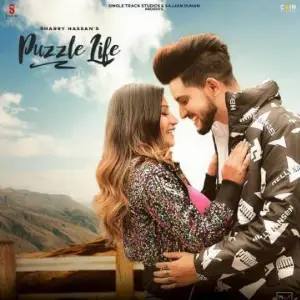 Puzzle Life Song By Puzzle Life Poster