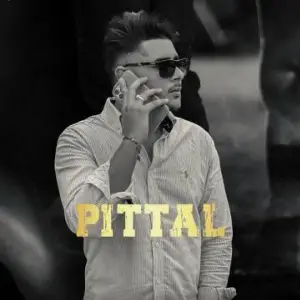 Pittal Song By Pittal Poster