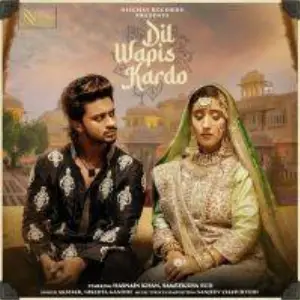 Dil Wapis Kardo Song By Dil Wapis Kardo Poster