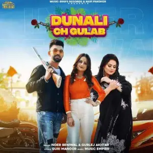 Dunali Ch Gulab Song By Dunali Ch Gulab Poster