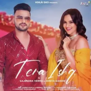 Tera Ishq Song By Tera Ishq Poster