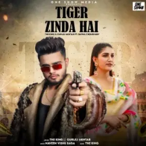 Tiger Zinda Hai Song By Tiger Zinda Hai Poster