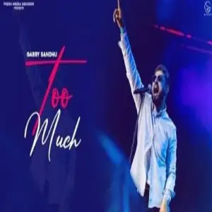 Too Much Song By Too Much Poster