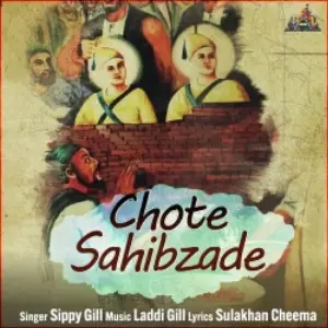 Chote Sahibzade Song By Chote Sahibzade Poster
