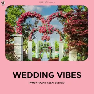 Wedding Vibes Song By Wedding Vibes Poster