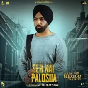 Ser Nai Palosda Song By Ser Nai Palosda Poster