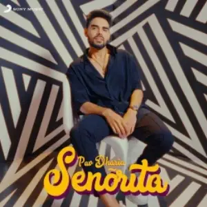 Senorita Song By Senorita Poster