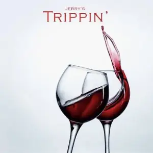 Trippin Song By Trippin Poster