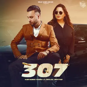 307 Song By 307 Poster