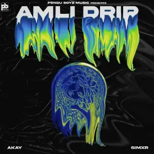Amli Drip Song By Amli Drip Poster